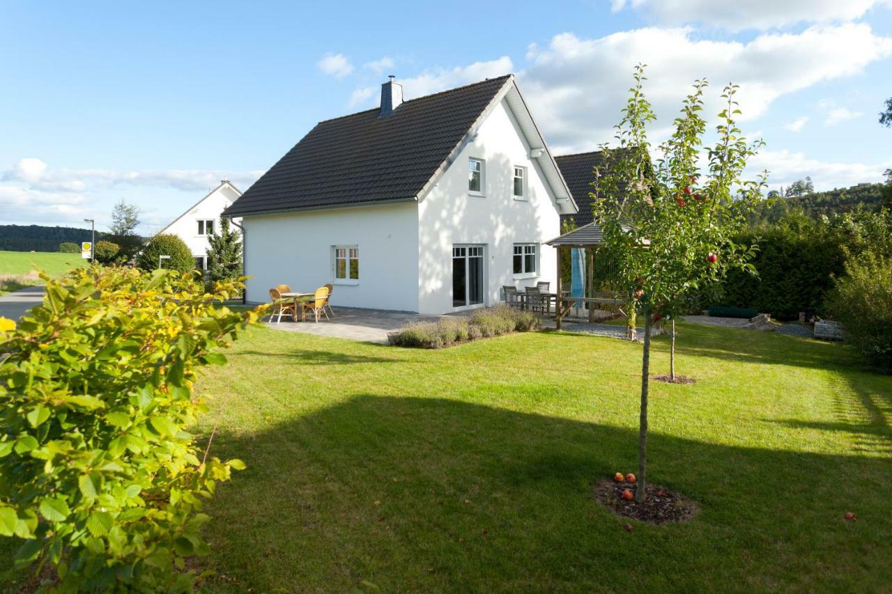Villa Meisen Medebach Exterior foto